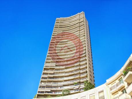 GRAND ET BEAU STUDIO AVEC VUE IMPRENABLE SUR LA MONTAGNE A MONTE CARLO - MONACO