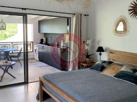 BEL APPARTEMENT 1 CHAMBRE PROCHE PLAGE A ST JEAN – SAINT BARTHELEMY