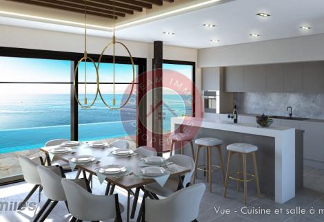 BELLE VILLA NEUVE VUE MER AVEC GRAND JARDIN A BAIE ORIENTALE – SAINT-MARTIN 