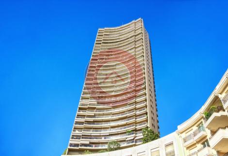 GRAND ET BEAU STUDIO AVEC VUE IMPRENABLE SUR LA MONTAGNE A MONTE CARLO - MONACO