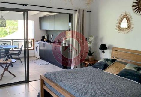 BEL APPARTEMENT 1 CHAMBRE PROCHE PLAGE A ST JEAN – SAINT BARTHELEMY